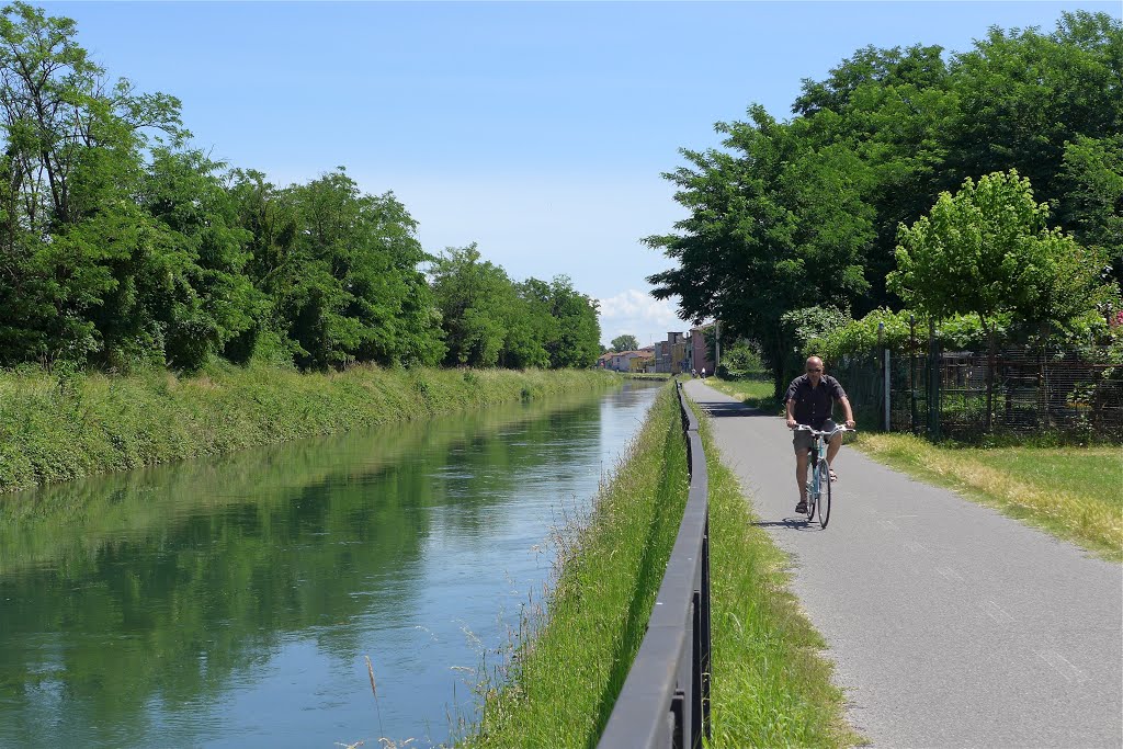 “In bici contro la guerra”: PedalaMartesana organizza una pedalata fino a Milano per la Palestina