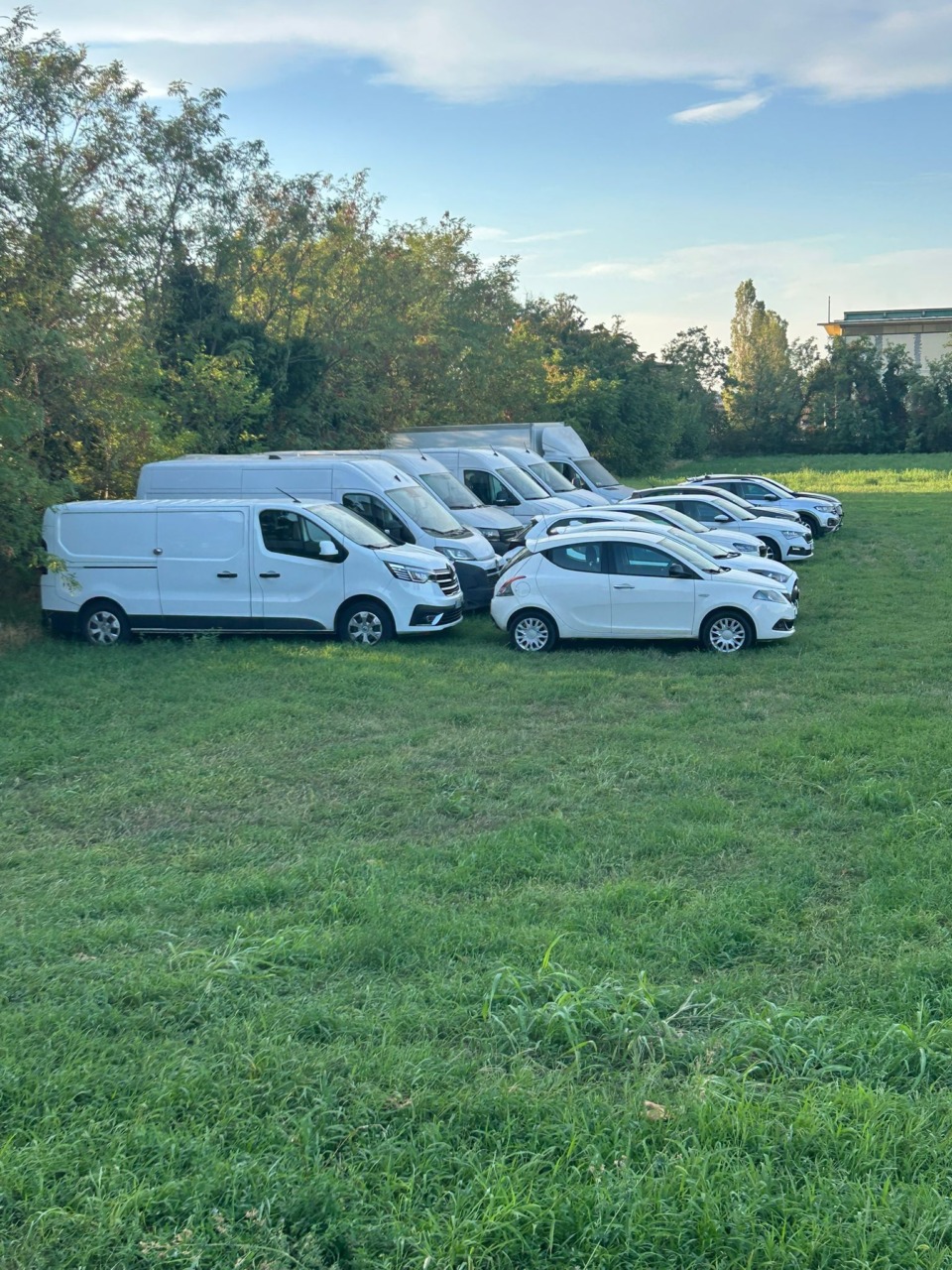 Il verde a Novegro finisce sotto le ruote: le auto e i furgoni invadono l’area protetta