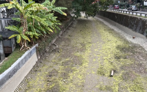 Prosciugato il Naviglio Martesana per l’asciutta, ecco motivi e periodi