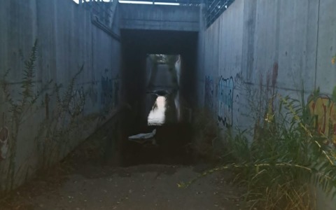 Rubano (ancora) i cavi delle pompe: allagato il sottopasso per Melzo