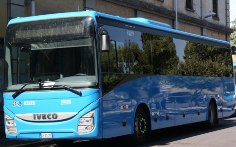Da Rivolta d’Adda a Crema in cinque ore: “L’autobus ha rallentato, mi ha guardato, ma non si è fermato”