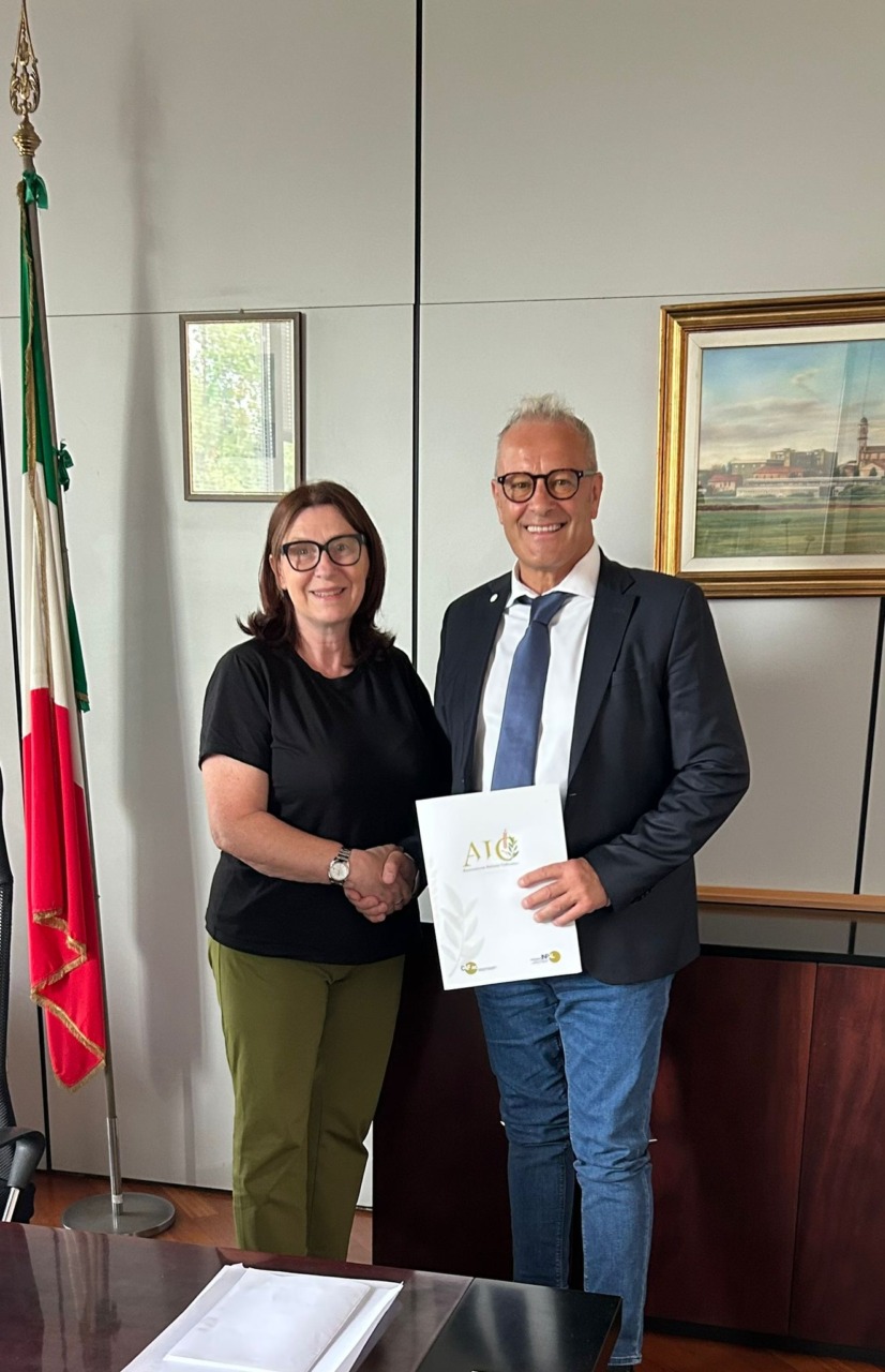 Fotovoltaico, data center e impianto ad accumulo elettrochimico. Il punto del sindaco