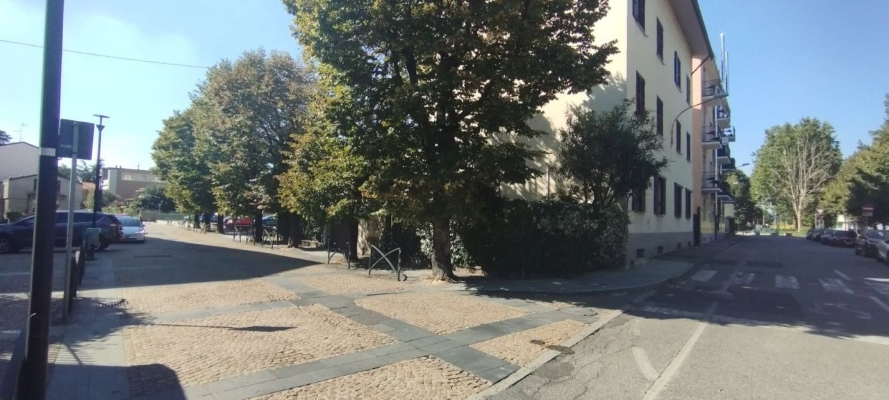 Protesta per salvare gli storici tigli: “Non abbatteteli e cambiate il progetto”