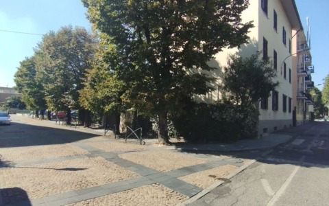Protesta per salvare gli storici tigli: “Non abbatteteli e cambiate il progetto”