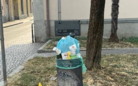 Rifiuti e cani, multe (molto) più salate per chi sgarra