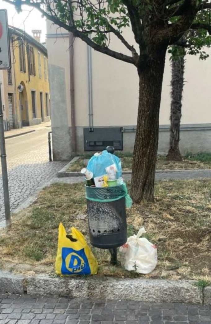 Rifiuti e cani, multe (molto) più salate per chi sgarra
