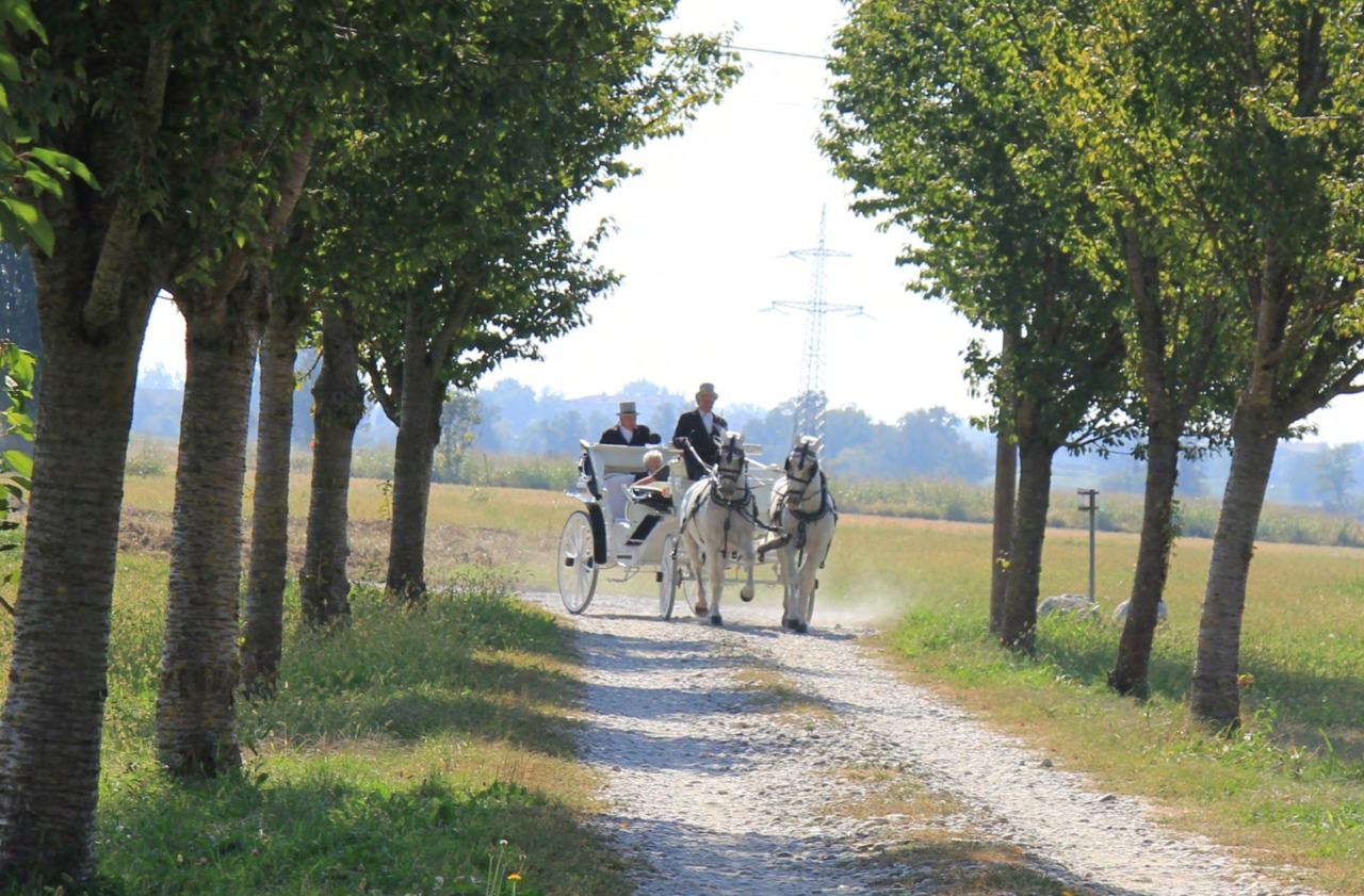 I cent’anni di Angelica: un secolo di vita festeggiato… in carrozza