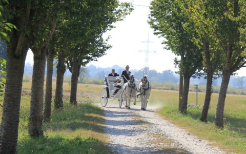I cent’anni di Angelica: un secolo di vita festeggiato… in carrozza