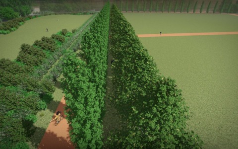 Compensazioni ambientali nell’area della biopiattaforma: in arrivo 56 nuovi alberi
