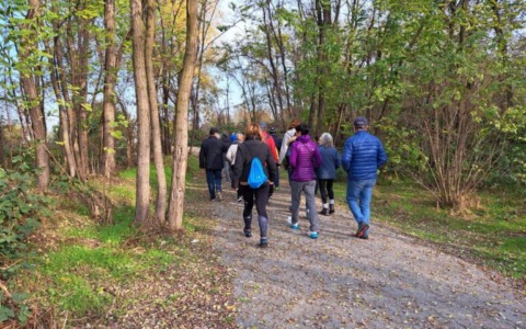 Foreste urbane, un gioiello verde da preservare e da scoprire