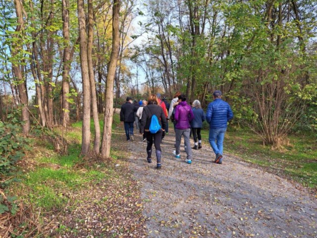 Foreste urbane, un gioiello verde da preservare e da scoprire