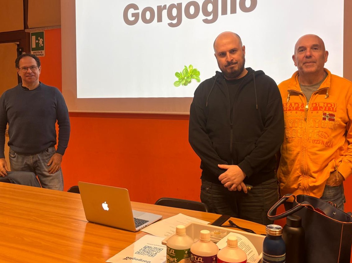 Coltivazione idroponica: curiosità e interesse per l’orto “in cassetta”